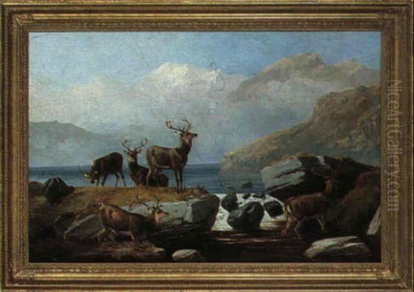 Red Deer By Water Oil Painting by Robert Henry Roe