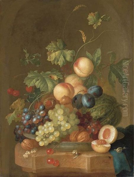 Grapes, Cherries, Plums, Peaches, Walnuts And A Melon In A Porcelain Bowl On A Partly-draped Ledge With A Halved Peach And Two Snails by Johannes Christianus Roedig