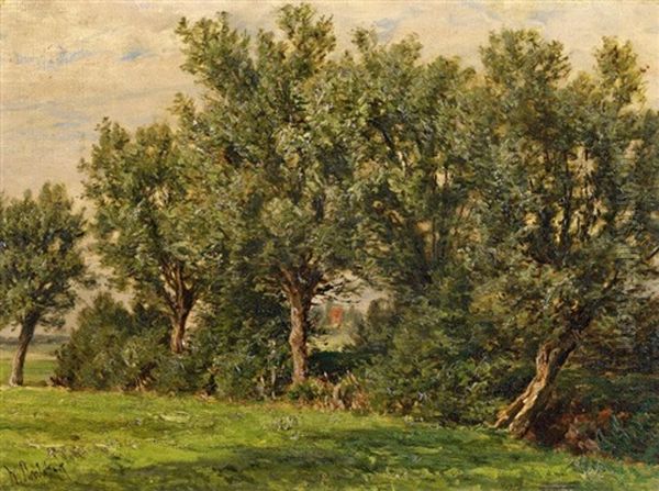 Waldstudie Oil Painting by Willem Roelofs