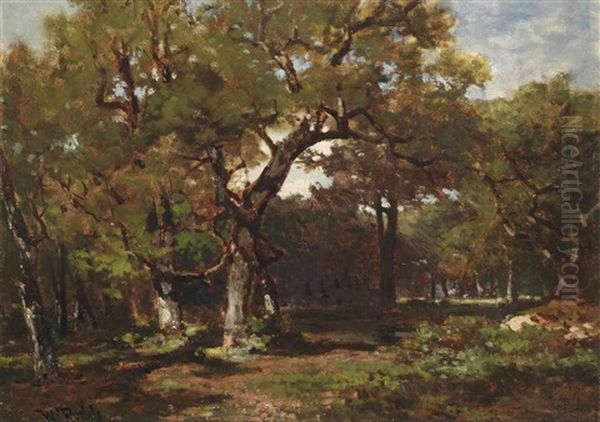 A Wooded Landscape Oil Painting by Willem Roelofs