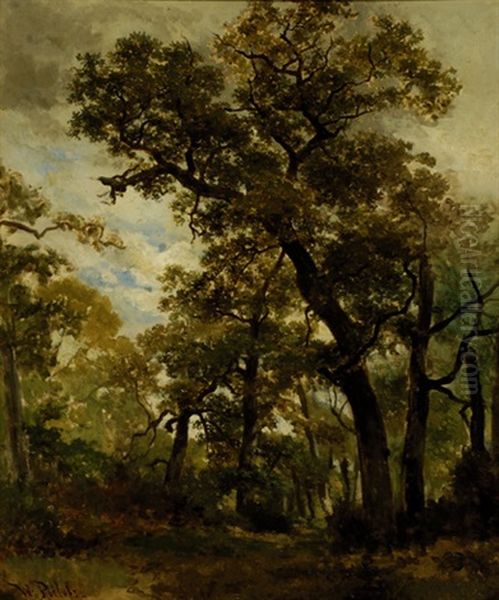 Woods Near Oosterbeek Oil Painting by Willem Roelofs