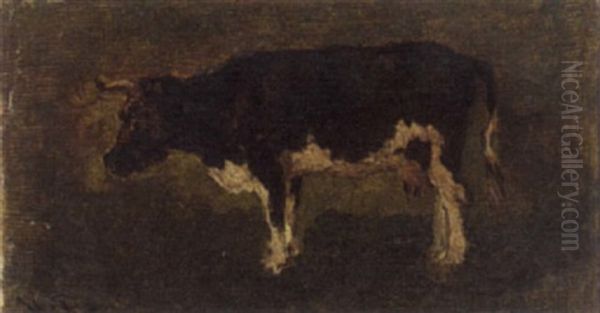 Study Of A Cow Oil Painting by Willem Roelofs