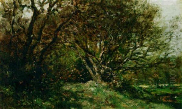 A View Of The Woods, Ockenburgh Oil Painting by Willem Roelofs