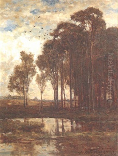 A Forest Pool At Sunset Oil Painting by Willem Roelofs