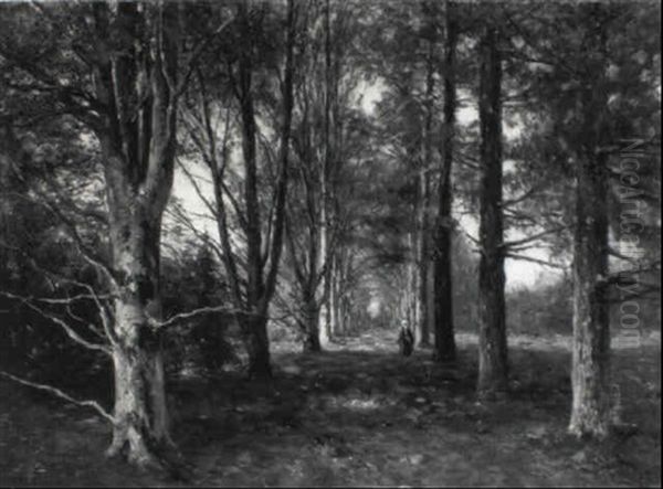 A Peasant Woman Walking On A Sunlit Forest Path, Renkum Oil Painting by Willem Roelofs