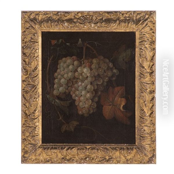 Grapes Oil Painting by Pieter Gerritsz van Roestraten