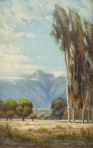 Sycamore Trees With Distant Mountain Range Oil Painting by Charles Albert Rogers