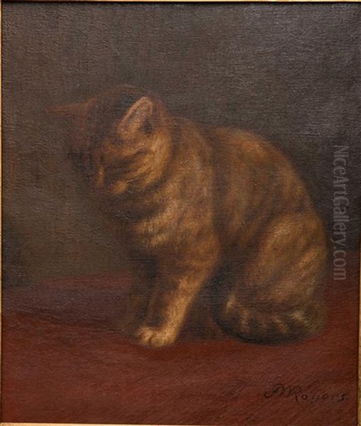 Portrait Of A Cat Oil Painting by Franklin Whiting Rogers