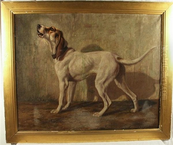 The White Hound Oil Painting by Franklin Whiting Rogers