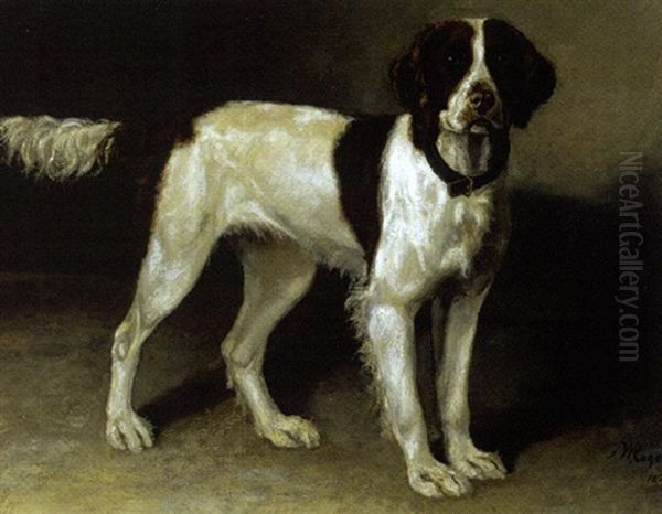 Portrait Of A Dog Named "lassie" Oil Painting by Franklin Whiting Rogers