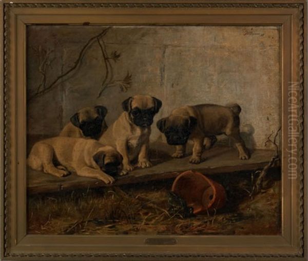 Four Pugs Staring At A Frog Oil Painting by Franklin Whiting Rogers