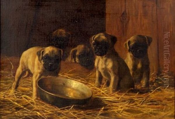 Five Pug Puppies Oil Painting by Franklin Whiting Rogers