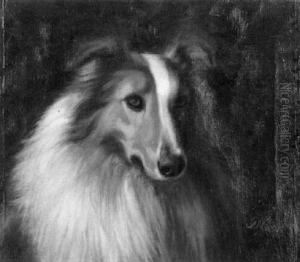 Portrait Of A Collie Oil Painting by Franklin Whiting Rogers