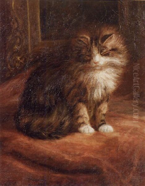 Sleepy Tabby Oil Painting by Franklin Whiting Rogers