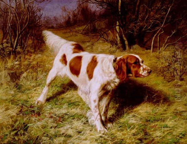 Setter In A Landscape Oil Painting by Franklin Whiting Rogers