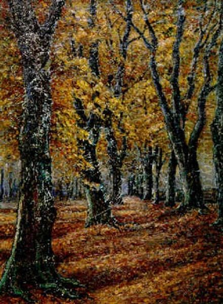 Herbstlicher Buchenwald Bei Weimar Oil Painting by Christian Rohlfs