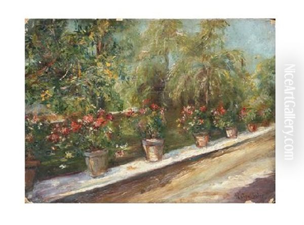 Jardin Con Geranios Oil Painting by Joan Roig Soler