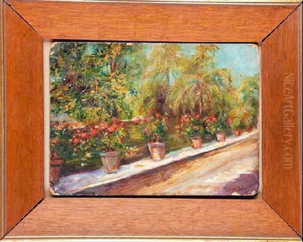 Jardin Con Geranios Oil Painting by Joan Roig Soler