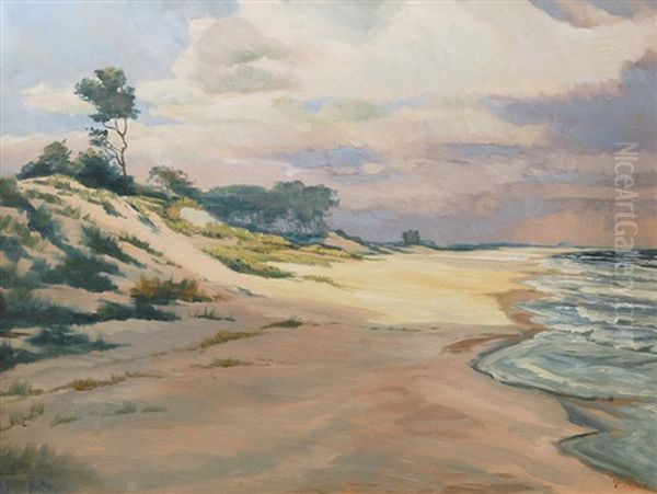 Beach On The Baltic Sea Oil Painting by Fritz (Friedrich) Rojka