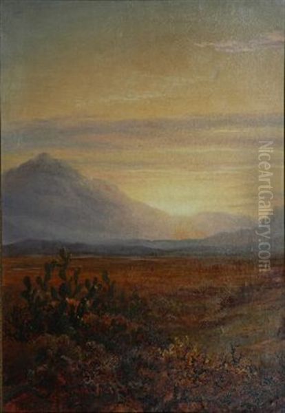 Sunset On Little Karoo Oil Painting by Charles Rolando