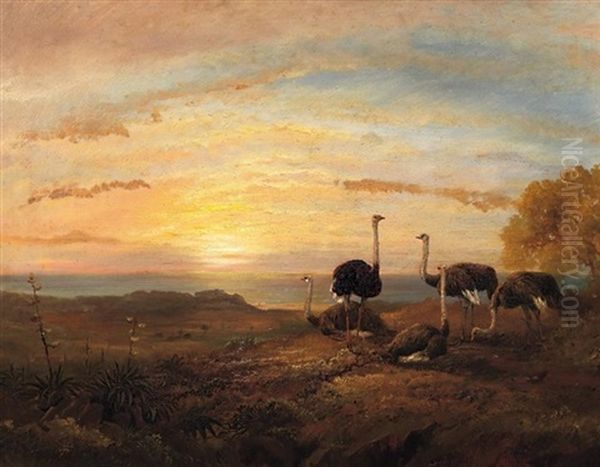 Strause In Kustenlandschaft Bei Sonnenuntergang Oil Painting by Charles Rolando