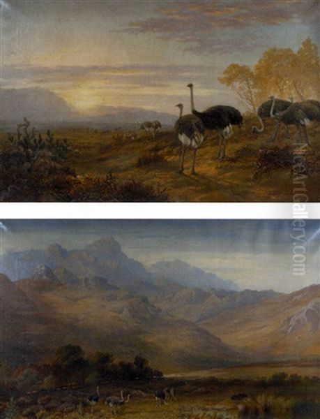 Little Karoo Landscapes With Ostriches (pair) Oil Painting by Charles Rolando