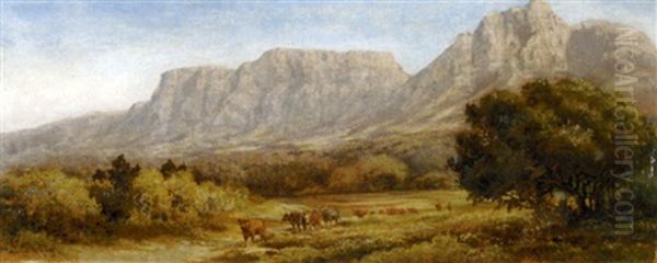 A Drover And Cattle With Table Mountain Beyond Oil Painting by Charles Rolando