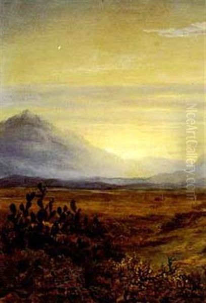 Sunset On The Little Karoo Oil Painting by Charles Rolando