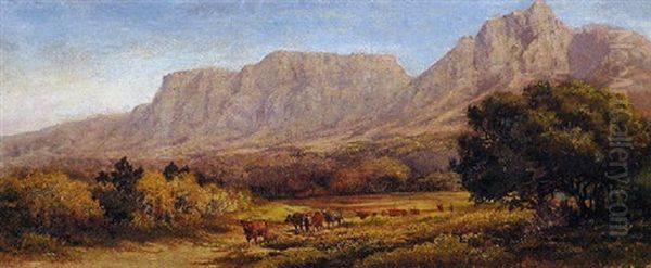 A Drover And Cattle With Table Mountain Beyond Oil Painting by Charles Rolando