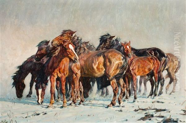 Wild Horses by Alfred Roloff