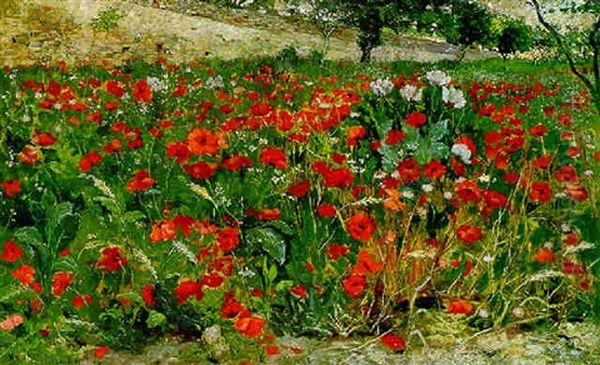 Field Of Poppies Oil Painting by Julius Rolshoven