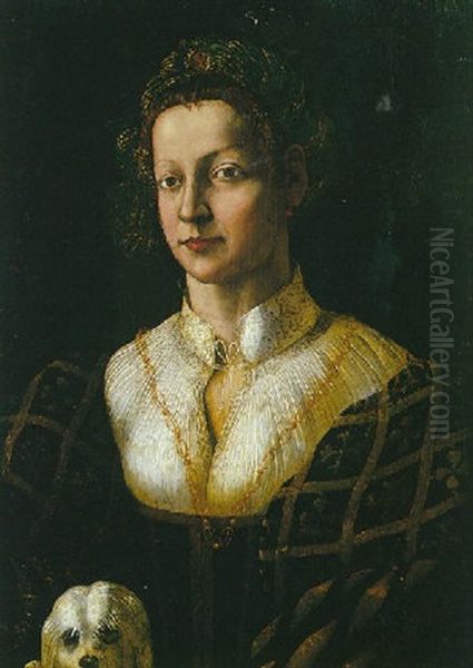 Portrait De Jeune Femme Avec Son Petit Chien Oil Painting by  Romanino (Girolamo Romani)