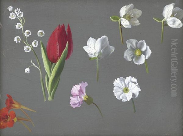 Studie Mit Kapuzinerkresse, Roter Tulpe Und Maiglockchen Oil Painting by Emmery Rondahl