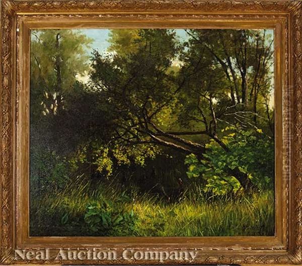 A Flock Of Wild Turkeys In The Woods Oil Painting by Frederick Rondel