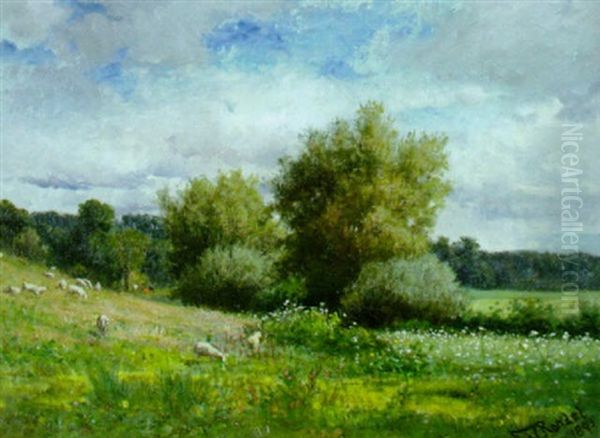 Sheep In A Pasture Oil Painting by Frederick Rondel