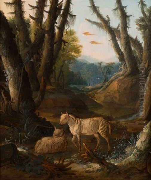 Zebres Dans Un Paysage De Foret Oil Painting by Johann Melchior Roos