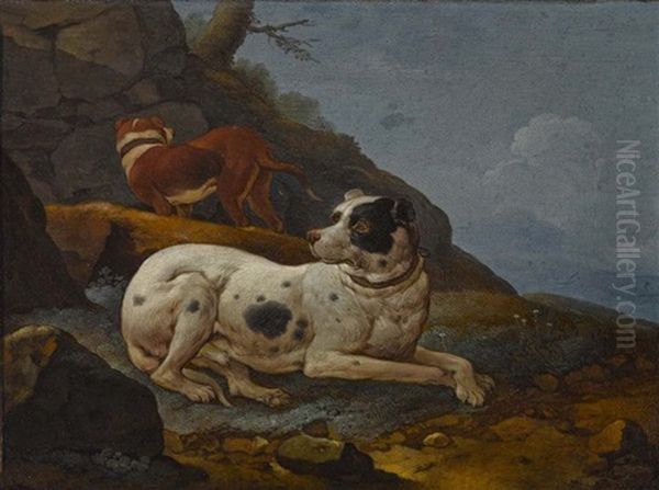 Zwei Rastende Jagdhunde Oil Painting by Johann Melchior Roos