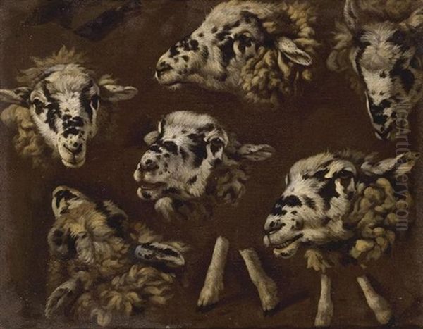 A Study Of Heads And Sheep Oil Painting by Johann Melchior Roos