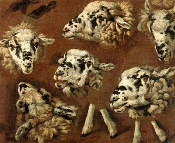 Heads Of Sheep Oil Painting by Johann Melchior Roos