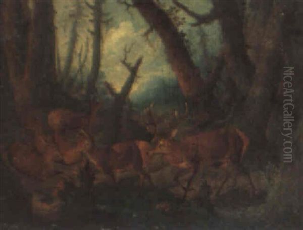 Wooded Landscapes With Bears And Deer Oil Painting by Johann Melchior Roos