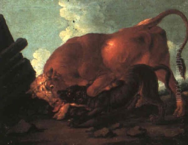 A Dog Attacking A Bull Oil Painting by Johann Melchior Roos