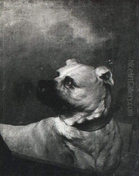 A Mastiff Oil Painting by Johann Melchior Roos