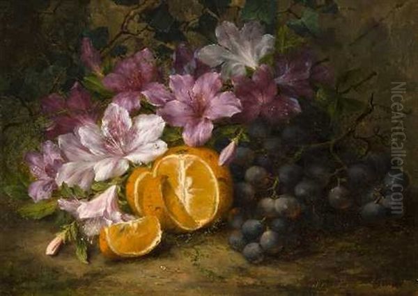 Stillleben Mit Azaleen, Einer Orange, Weintrauben Und Efeu Oil Painting by Margaretha Roosenboom