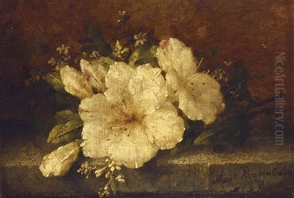 Flowers On A Ledge Oil Painting by Margaretha Roosenboom