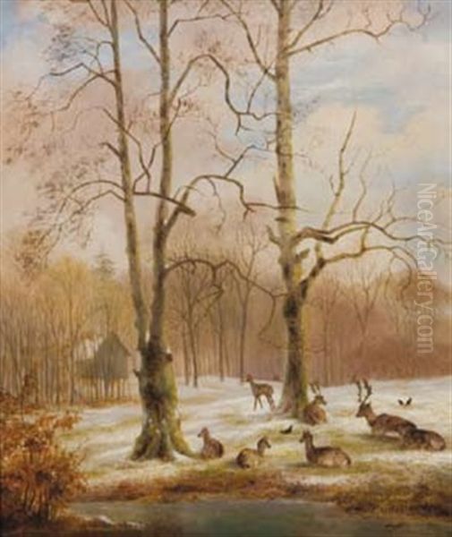 Deer Resting At The Edge Of A Snow-covered Forest Oil Painting by Nicolaas Johannes Roosenboom