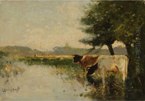 Cattle Watering At A Pond Oil Painting by Gerardus Johannes Bos