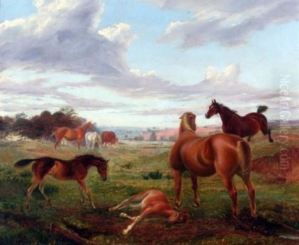 Horses In Extensive Landscape Oil Painting by George Thomas Rope