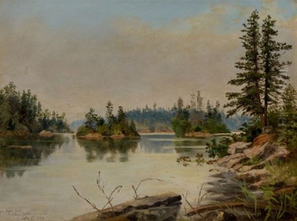 From Bare Island, Stony Lake, Ontario Oil Painting by Edward Roper