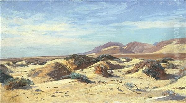 Heyst -zeezicht En Duinen Oil Painting by Felicien Joseph Victor Rops