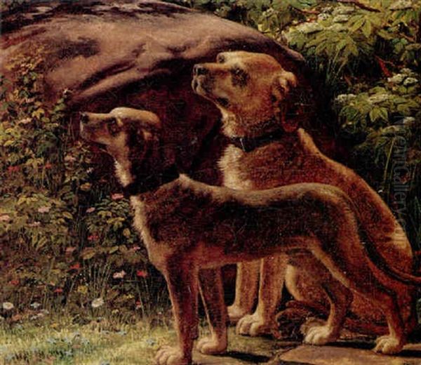 Portraetter Af To Hunde Oil Painting by Martinus Christian Wesseltoft Rorbye